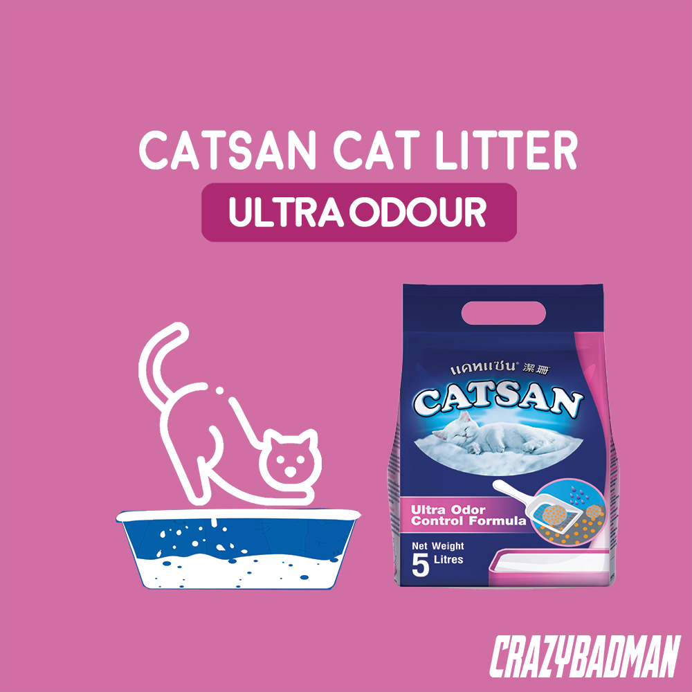 Is catsan litter safe for outlet kittens